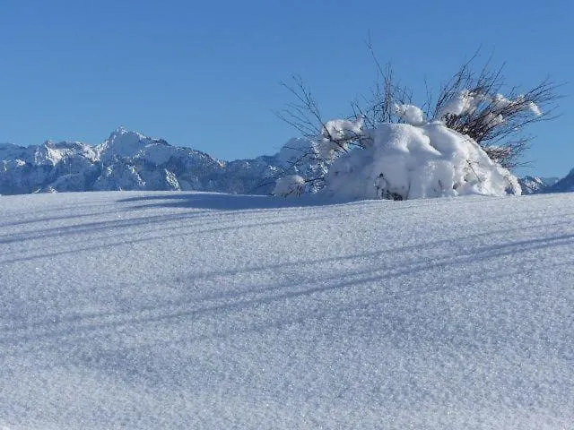 Allgaeuer-Landhaus-Stocker Hopferau